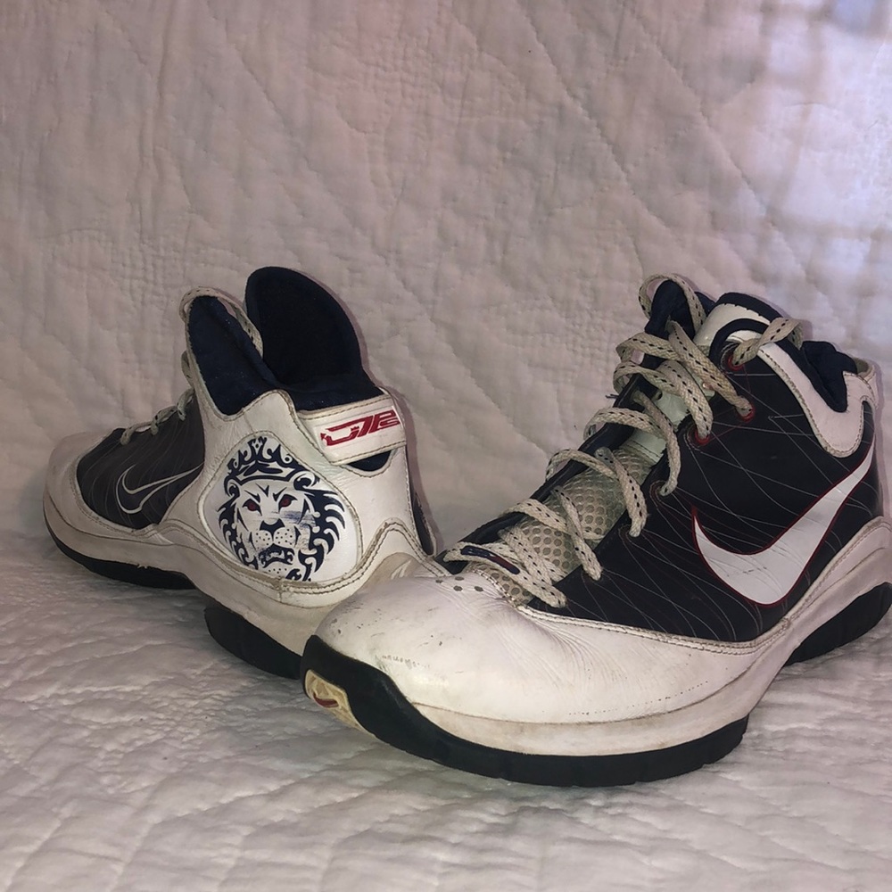Nike LeBron Basketball Shoes